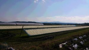 農業女子的冬の風景2016